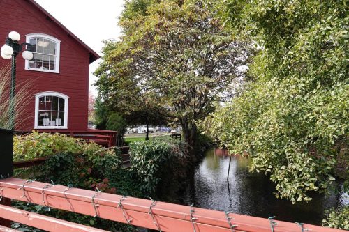 2024 Samhain Festival. Photo by Jonathan Pope