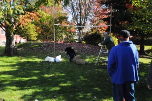 Mini Highland Games